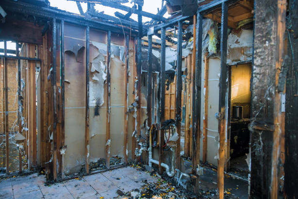 Professional Odor Removal technician working in Monticello, FL