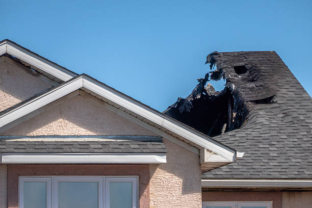 Top rated local Odor Removal specialists in Monticello, FL
